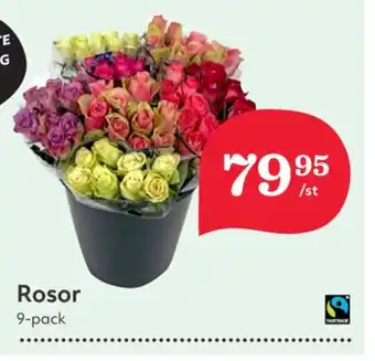 Hemköp Nature choise blommor erbjuda