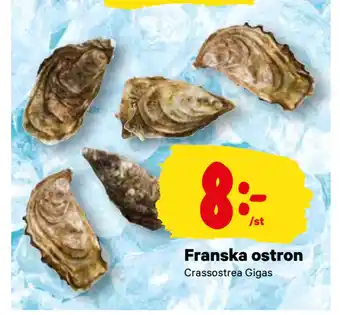 City Gross Franska ostron erbjuda