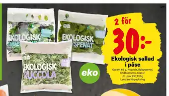 City Gross Ekologisk sallad i påse erbjuda