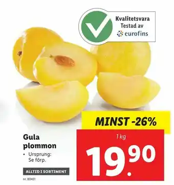 Gula plommon