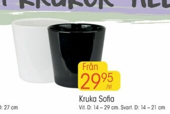 EKO Krukor erbjuda