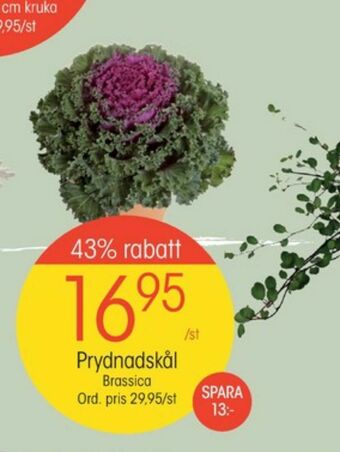EKO Plantor erbjuda