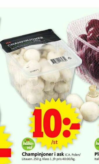 ICA Supermarket ICA Champinjoner erbjuda