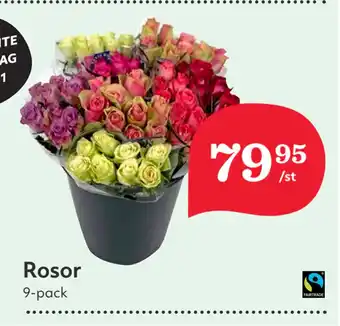 Hemköp Rosor erbjuda