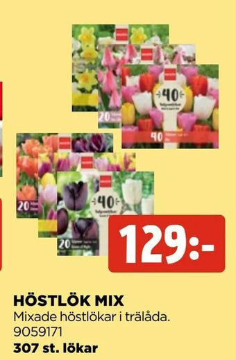 Jem&Fix Höstlök mix erbjuda