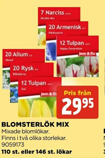Blomsterlök mix