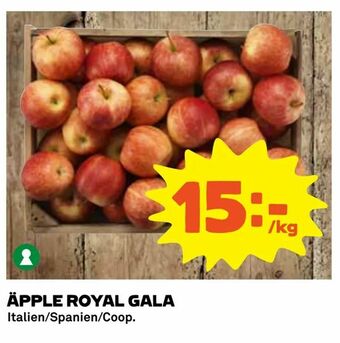 Coop Daglivs Äpple royal gala erbjuda