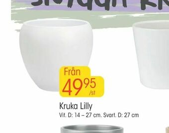 EKO Kruka Lilly erbjuda