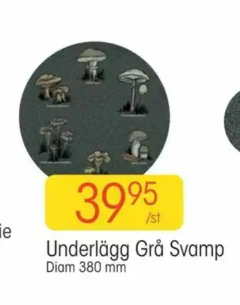 Underlägg Grå Svamp