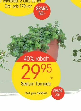EKO 40% rabatt erbjuda