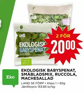 Willys Ekologisk babyspenat, småbladsmix, ruccola, machesallad erbjuda