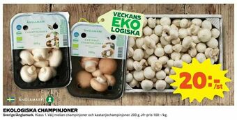 Coop Extra Ekologiska champinjoner erbjuda