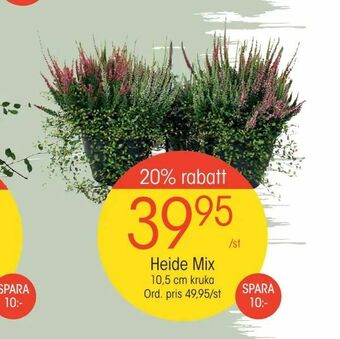 EKO Heide Mix erbjuda