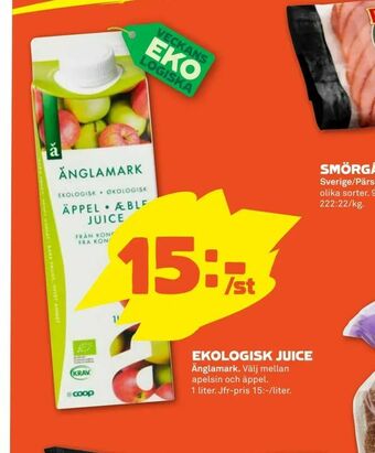 Ekologisk juice