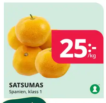 Tempo Satsumas erbjuda