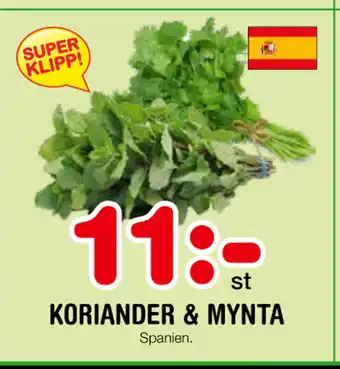Nya Pulsen Koriander & mynta erbjuda
