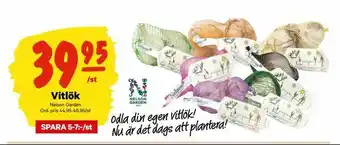 City Gross Vitlök erbjuda