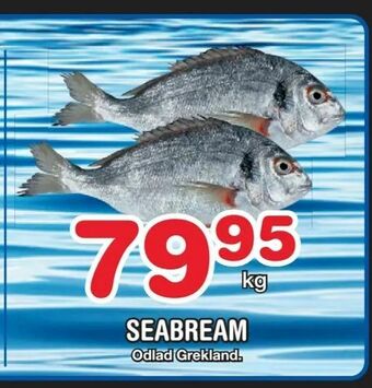 Nya Pulsen Seabream erbjuda