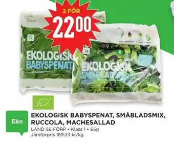 Willys Hemma Ekologisk babyspenat, småbladsmix, ruccola, machesallad erbjuda