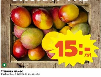 Ätmogen mango