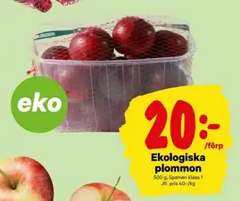 City Gross Ekologiska plommon erbjuda
