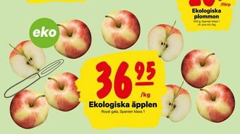 City Gross Ekologiska äpplen erbjuda