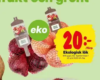 City Gross Ekologisk lök erbjuda