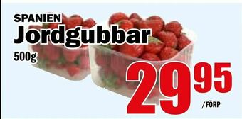 Jordgubbar