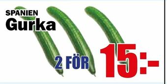 Matdax Gurka erbjuda