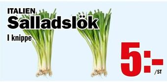 Matdax Salladslök erbjuda