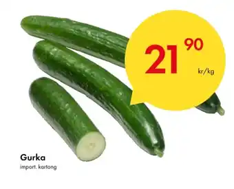 Snabbgross Gurka erbjuda