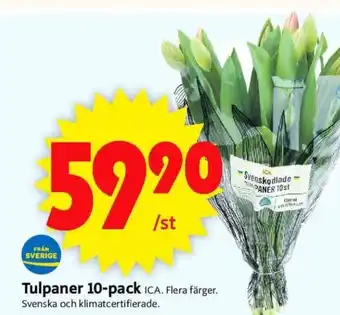ICA Supermarket Tulpaner 10-pack erbjuda