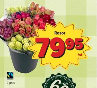 Östenssons Rosor erbjuda