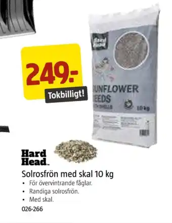 Jula Hard head solrosfrön erbjuda