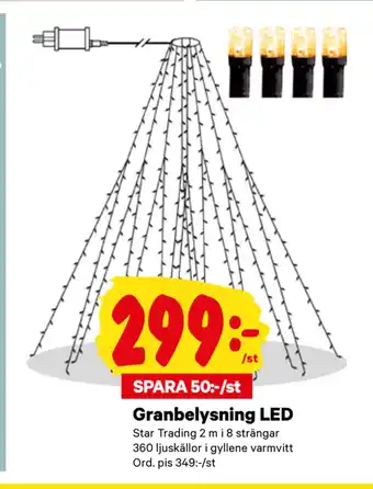City Gross Granbelysning led erbjuda