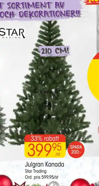 EKO Julgran kanada erbjuda