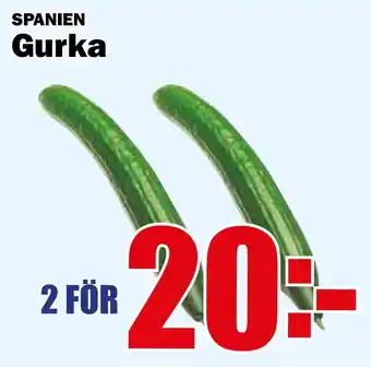Matdax Gurka erbjuda