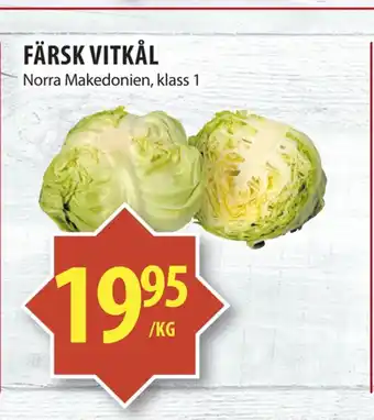 Matvärlden Tensta Färsk vitkål erbjuda