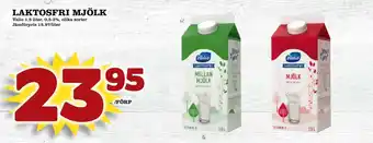 Supergrossen Laktosfri mjölk erbjuda