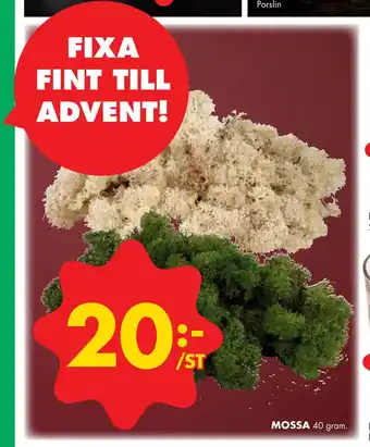 ÖoB Mossa erbjuda
