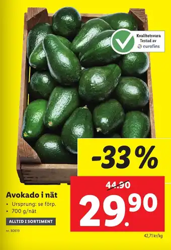 Lidl Avokado i nät erbjuda