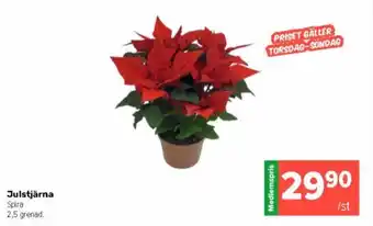 Coop Extra Julstjärna erbjuda