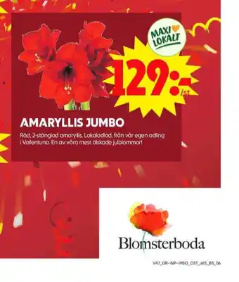 ICA Maxi Blomsterboda krukväxt erbjuda