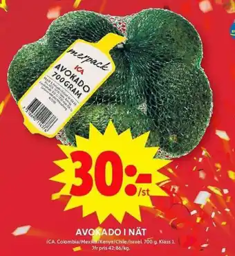 AVOKADO I NÄT