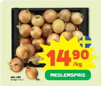 Gul lök