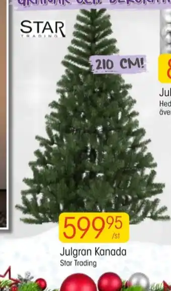 EKO Star trading julgran erbjuda