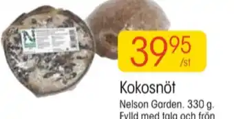 EKO Nelson garden fågelmat erbjuda