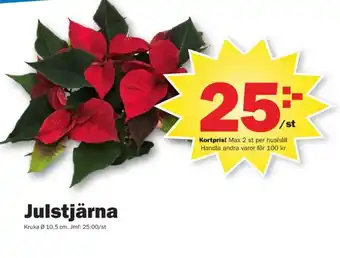 Pekås Coop krukväxt erbjuda