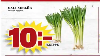 Matdax Salladslök erbjuda