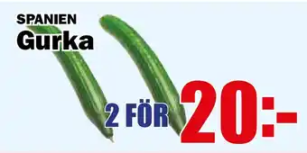 Matdax Gurka erbjuda